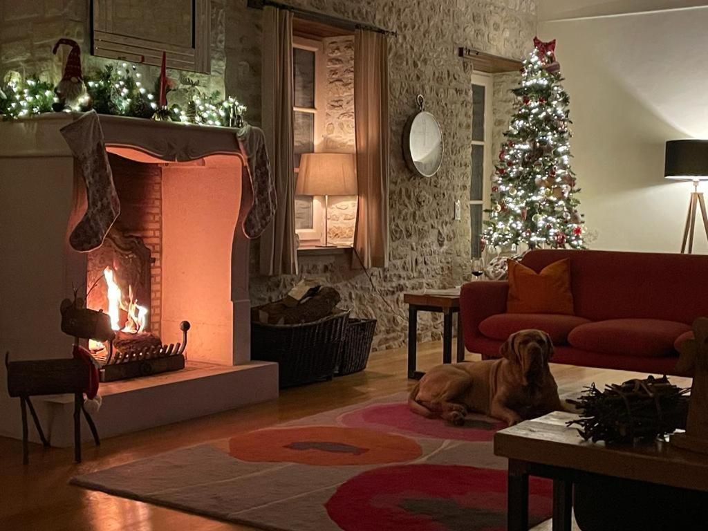 Uniquely Private Holiday Villa In The Charente Puyreaux Kültér fotó