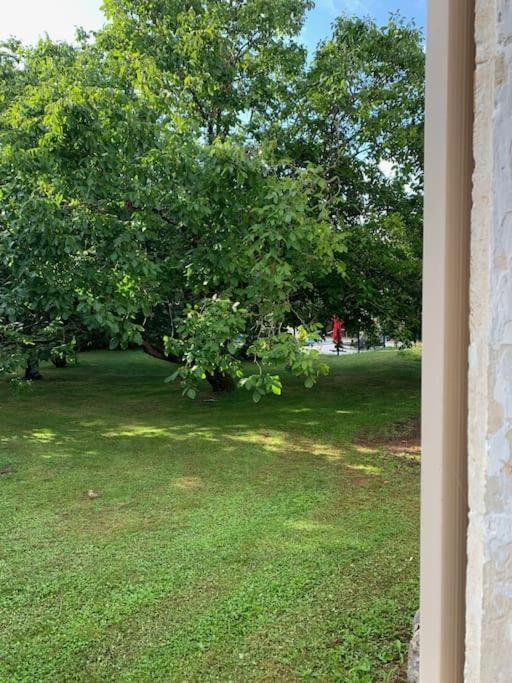 Uniquely Private Holiday Villa In The Charente Puyreaux Kültér fotó