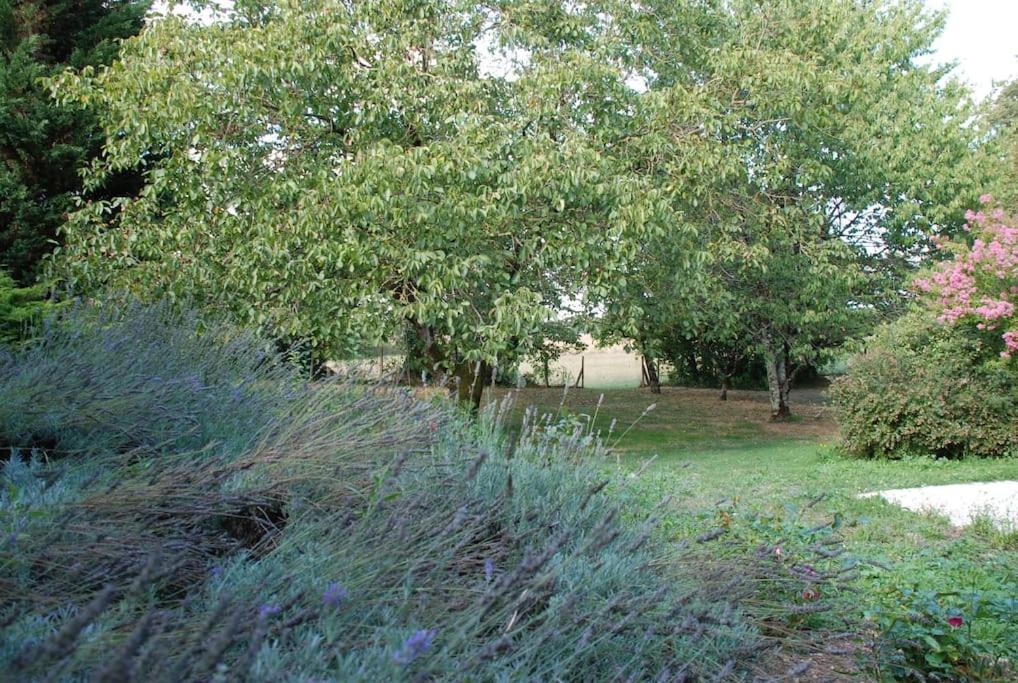 Uniquely Private Holiday Villa In The Charente Puyreaux Kültér fotó
